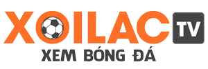 việt nam đấu với indonesia